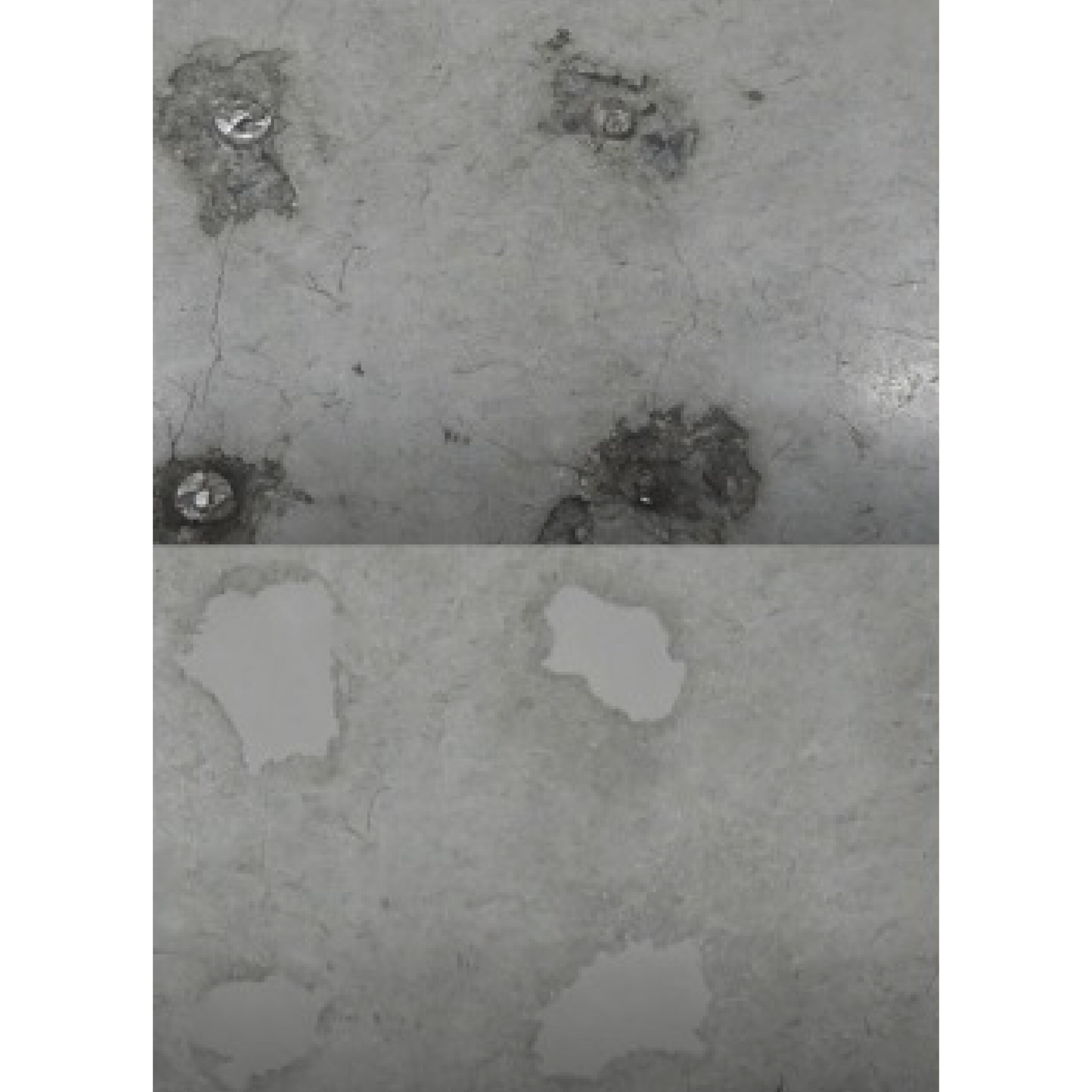 Rapid Refloor - Imagen 4